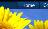 National Sunflower Association of Canada | Interface Design